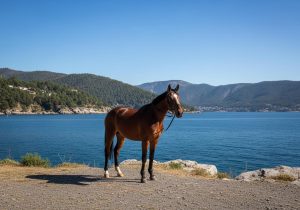 Comment faire des 90s rapides Fortnite ?